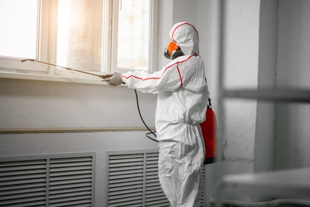 Professional mold remediation services in Madbury, NH
